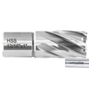 1" Cutting Depth, H.S.S. Annular Cutters, with Weldon Shank, CBN Ground,  ANSI STANDARD