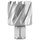 1" Cutting Depth, H.S.S. Annular Cutters, with Weldon Shank, CBN Ground,  ANSI STANDARD